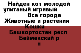 Найден кот,молодой упитаный игривый 12.03.2017 - Все города Животные и растения » Кошки   . Башкортостан респ.,Баймакский р-н